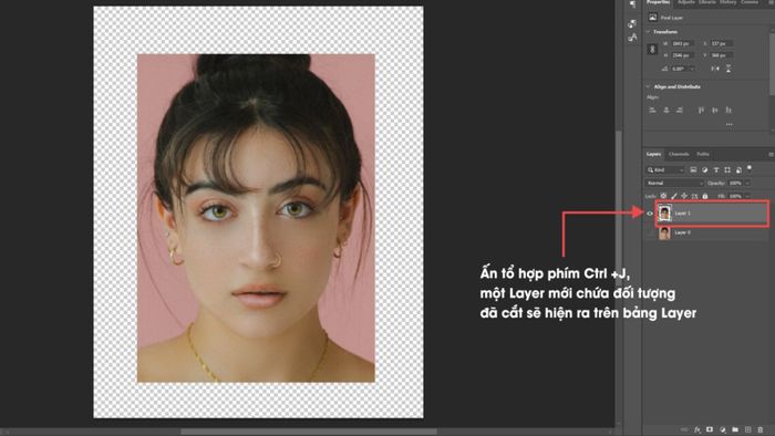 Nhóm công cụ Marquee Tool